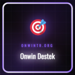 Onwin Destek ekibine ulaşan bir kullanıcının bilgisayar ekranı