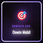 Onwin Mobil platformunun akıllı telefonda kullanımı ve arayüzü.